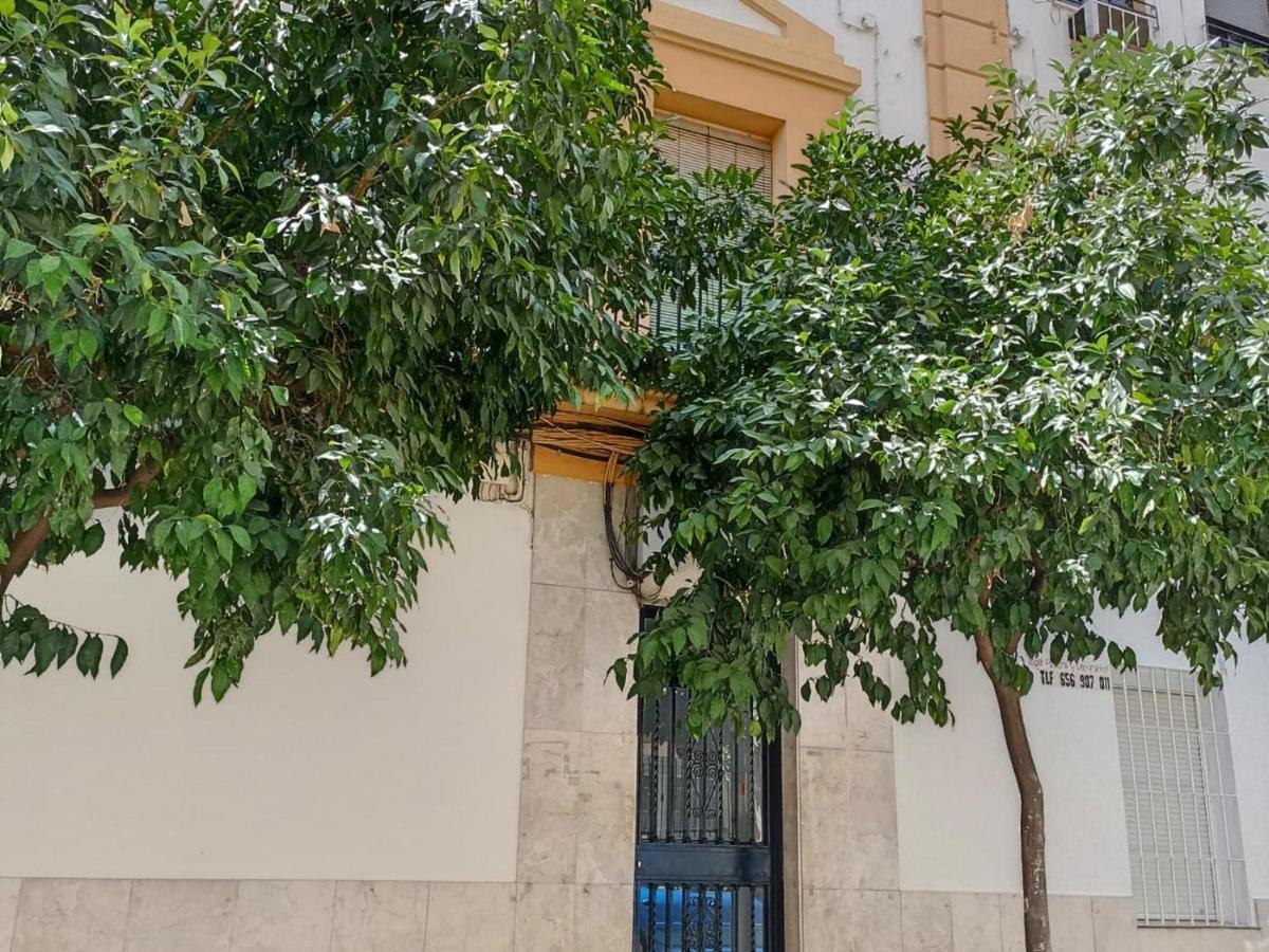 Modernos Apartamentos En Ciudad Jardin Córdoba Buitenkant foto